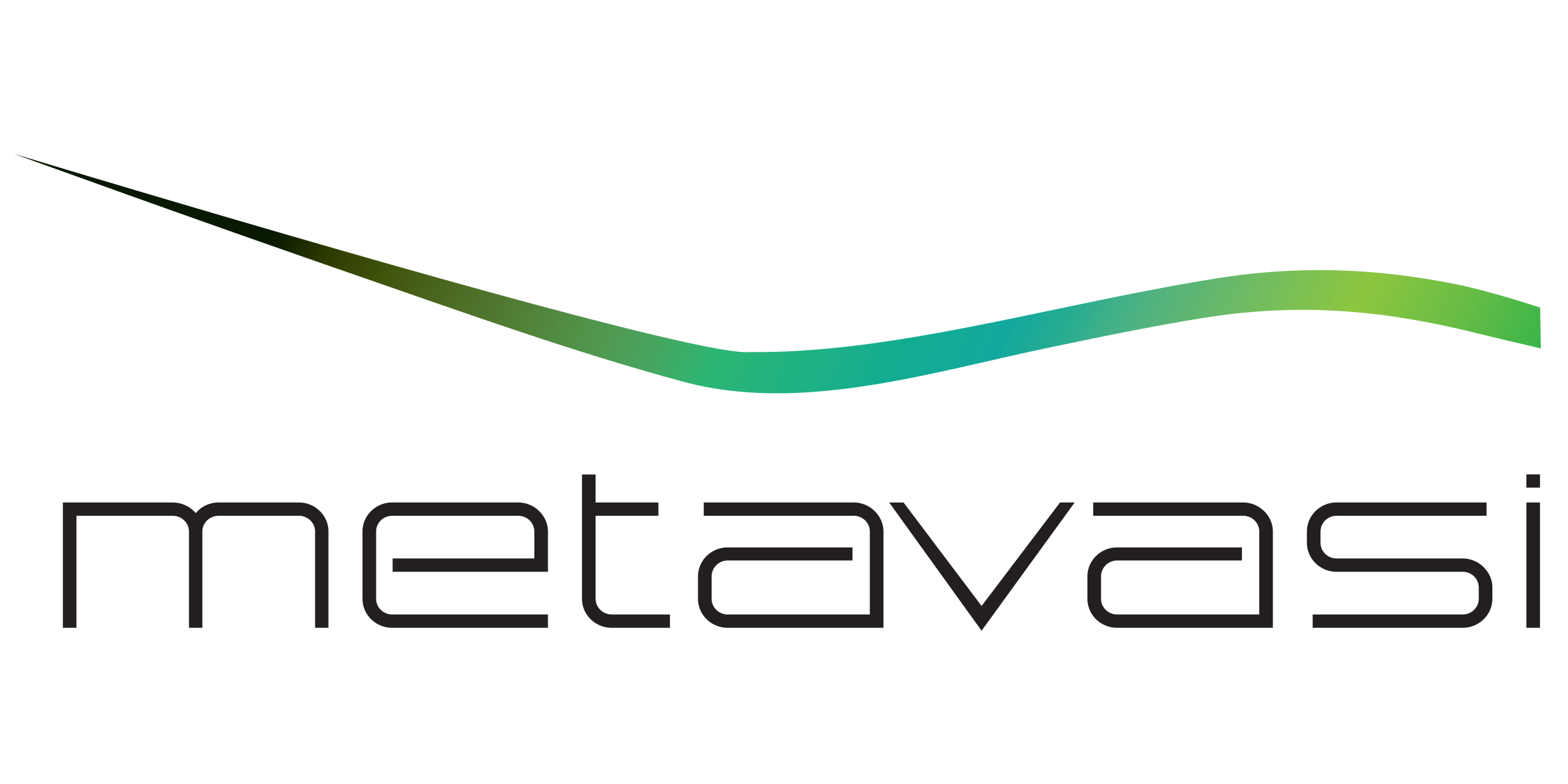 metavasi logo