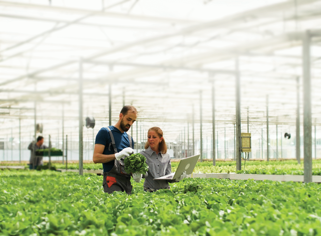 ΜΕΤΑΒΑΣΗ Α.Ε. – Ελληνική Εταιρεία Δίκαιης Αναπτυξιακής Μετάβασης