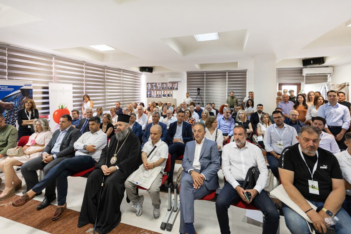 ΜΕΤΑΒΑΣΗ Α.Ε. – Ελληνική Εταιρεία Δίκαιης Αναπτυξιακής Μετάβασης